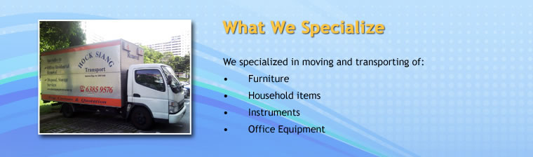 What We Specialize