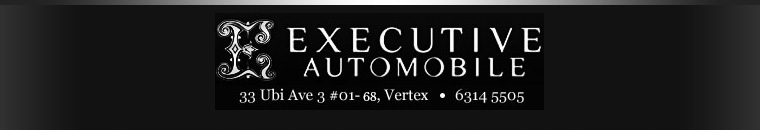EXECUTIVE AUTOMOBILE