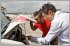 Lemon Law, too good to be true