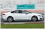 Tracking the cats round the circuit