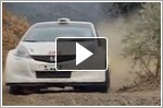 Mugen-tuned Jazz have a go at rallying