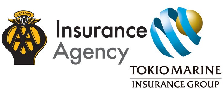 Tokio Marine Group Auto Insurance
