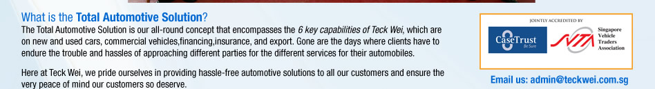 Teck Wei - What is the total automotive solution?