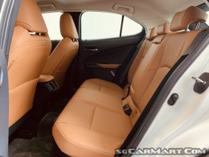 Lexus UX Hybrid UX250h Luxury
