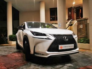 Used Lexus Nx Turbo Nx0t F Sport Car For Sale In Singapore Cars Yachts Pte Ltd Stcars