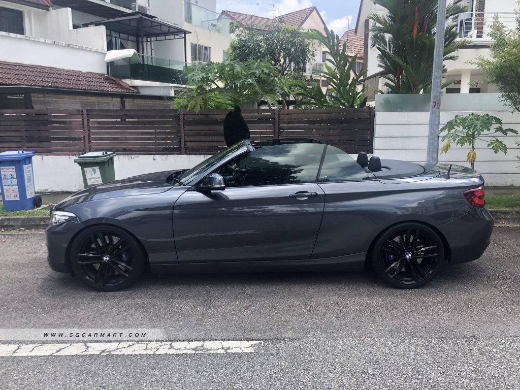 BMW 2 Series 218i Convertible