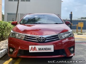 mandai motor trading mandai motor trading