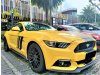 >Ford Mustang 5.0A GT