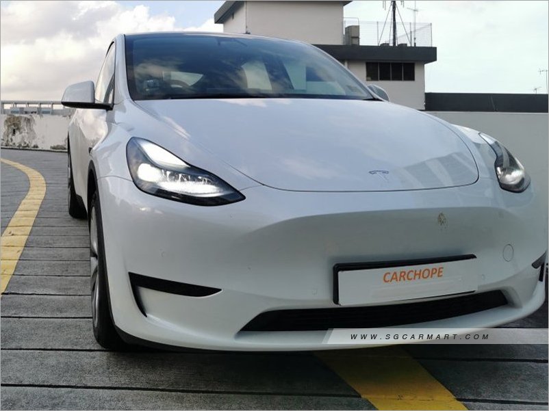 Tesla Model Y Electric