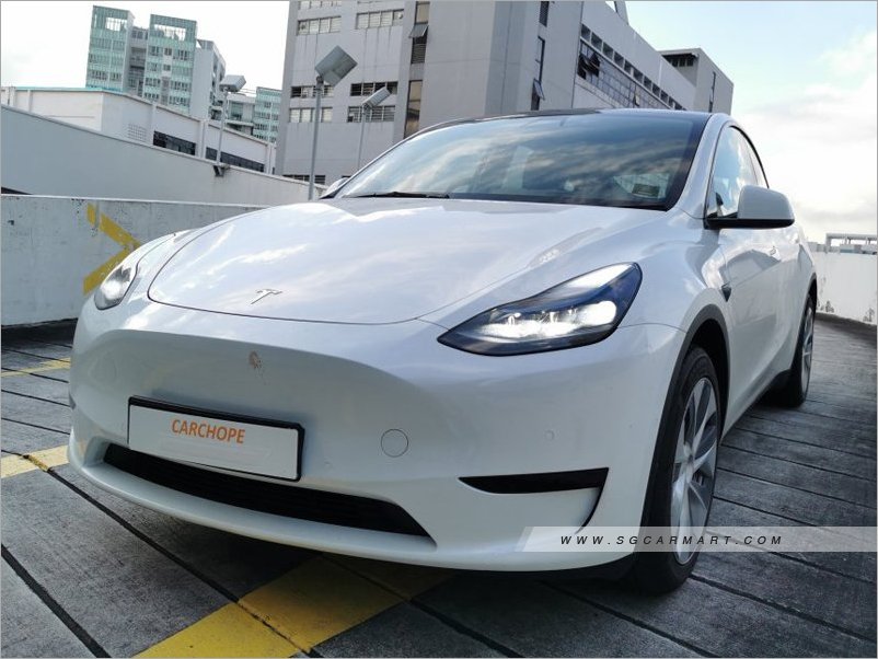 Tesla Model Y Electric