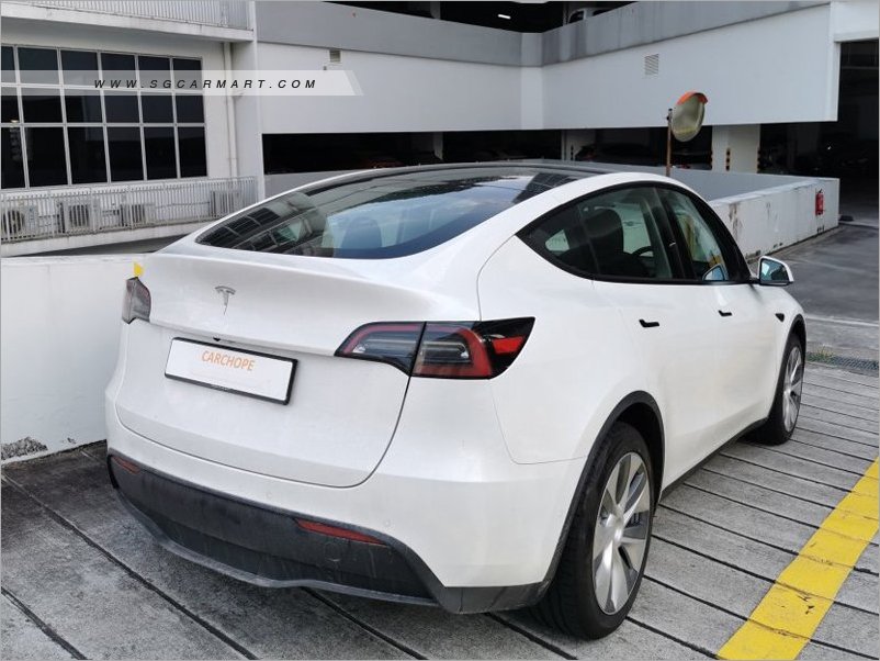 Tesla Model Y Electric