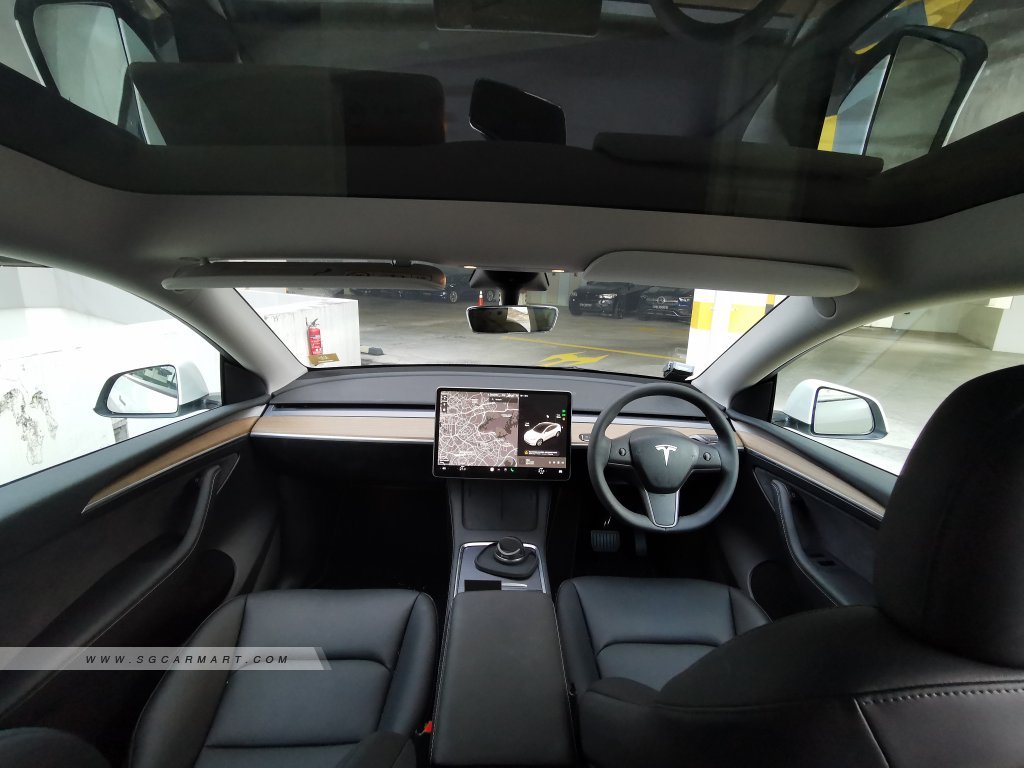 Tesla Model Y Electric