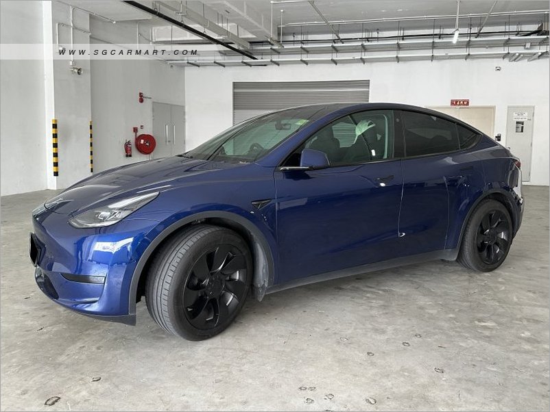 Tesla Model Y Electric RWD