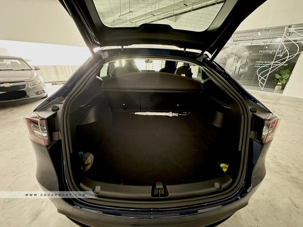 Tesla Model Y Electric RWD