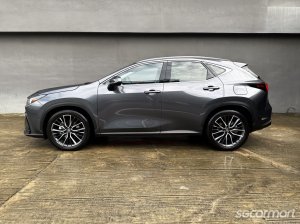 2023 Lexus NX Hybrid NX350h Luxury Sunroof Photos & Pictures Singapore ...