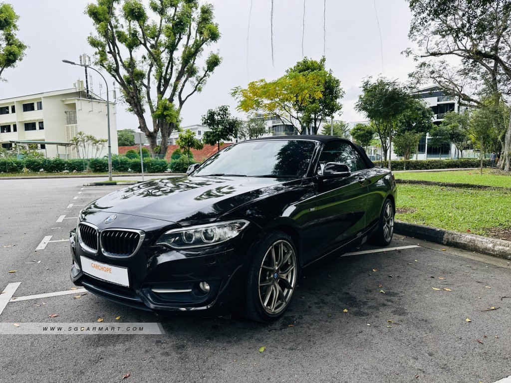 BMW 2 Series 218i Convertible