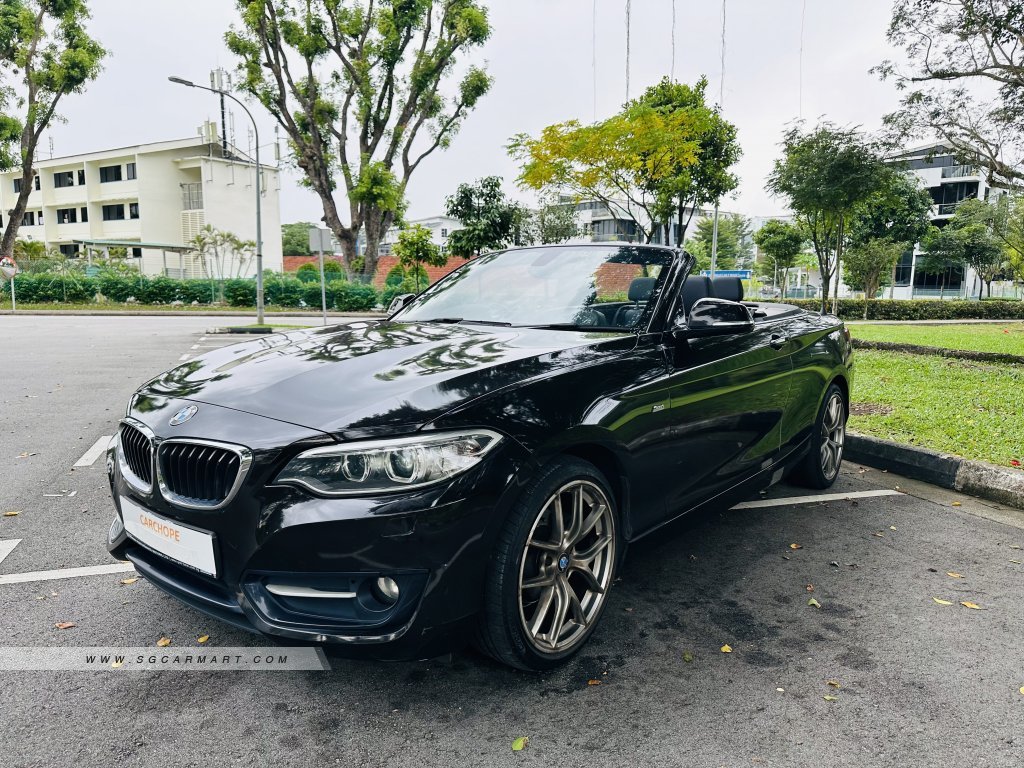 BMW 2 Series 218i Convertible