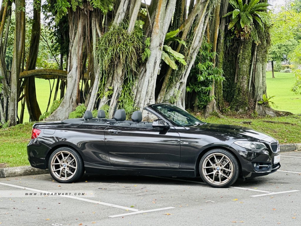 BMW 2 Series 218i Convertible