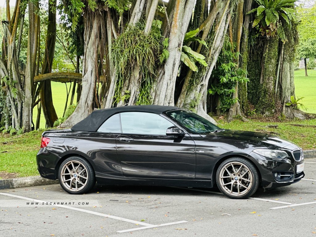BMW 2 Series 218i Convertible