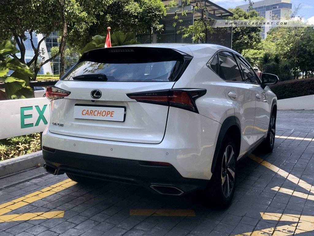 Lexus NX Turbo NX300 Luxury Moonroof
