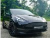 Tesla Model Y Electric Performance