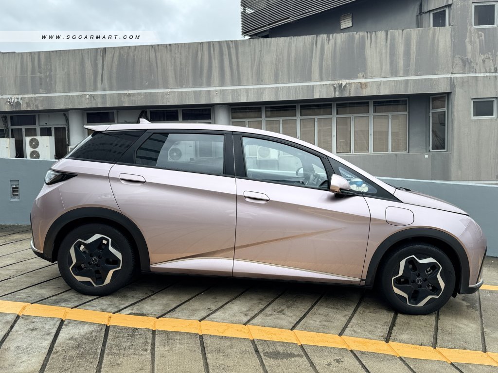 BYD Dolphin Electric Dynamic