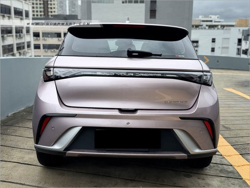 BYD Dolphin Electric Dynamic