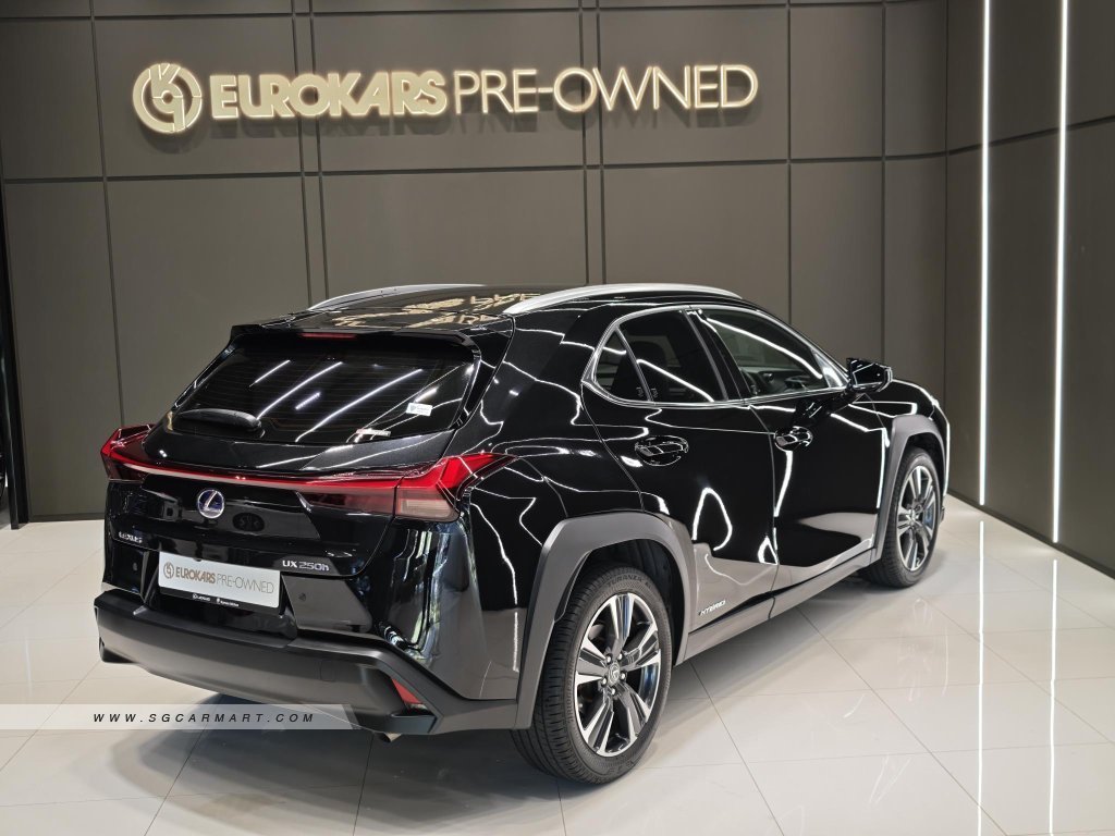 Lexus UX Hybrid UX250h Executive