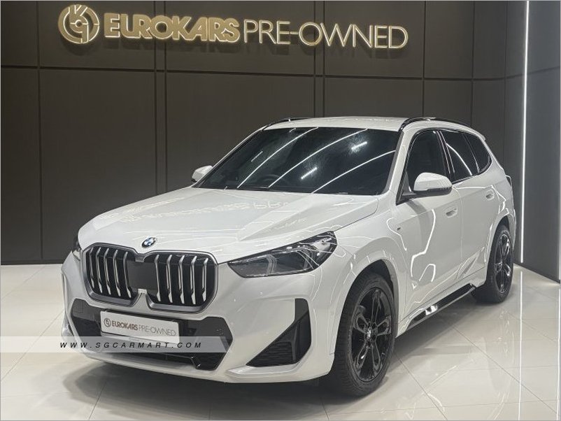 BMW X1 sDrive16i M-Sport