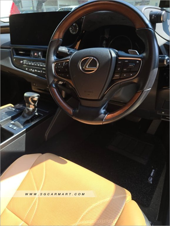 Lexus UX200 Executive