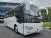 Golden Dragon XML6107