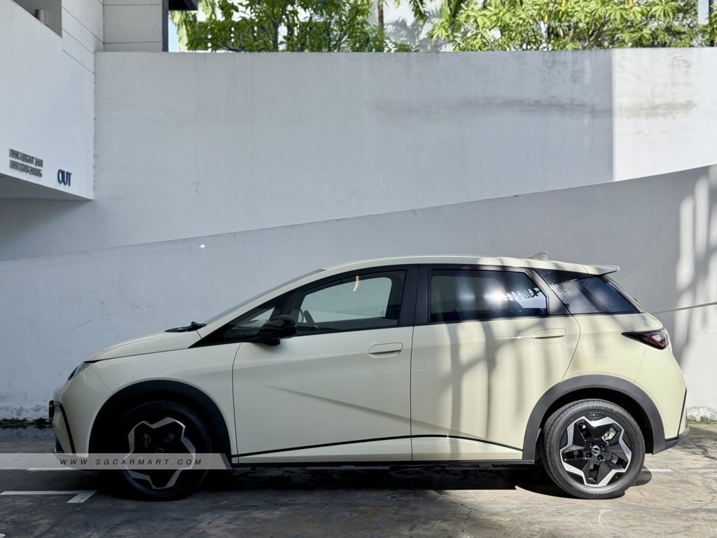 BYD Dolphin Electric Dynamic