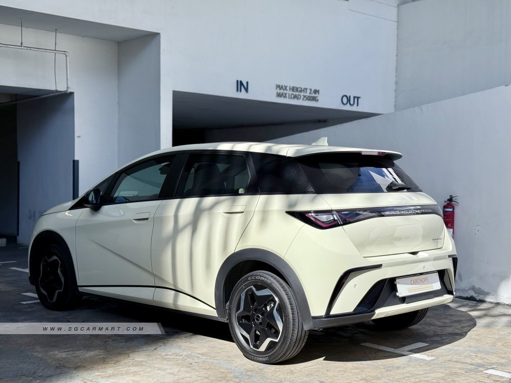 BYD Dolphin Electric Dynamic