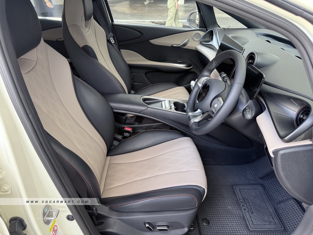 BYD Dolphin Electric Dynamic