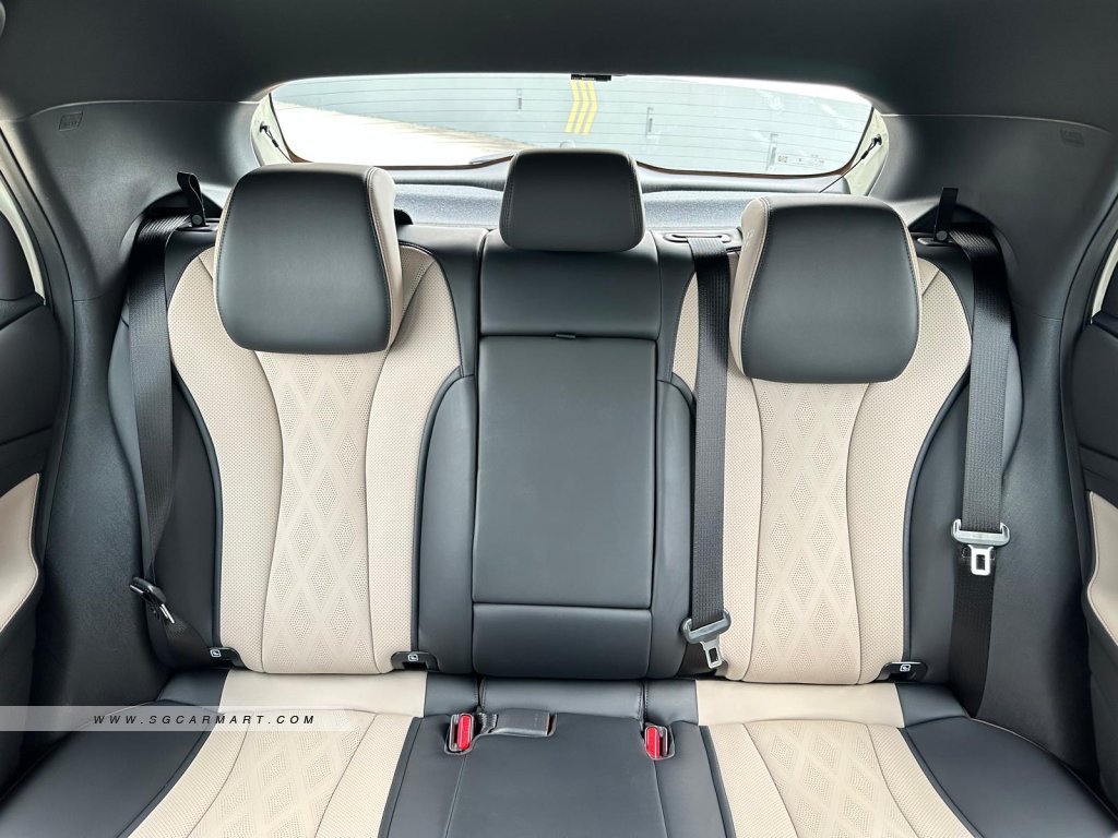 BYD Dolphin Electric Dynamic