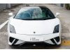 Lamborghini Gallardo LP550-2 (COE till 10/2031)