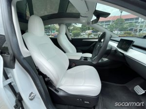 Tesla Model Y Electric Performance