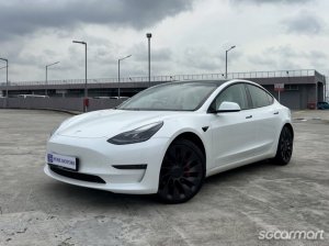Tesla Model 3 Electric Performance