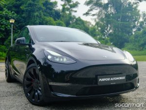 Tesla Model Y Electric Performance