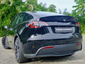 Tesla Model Y Electric Performance