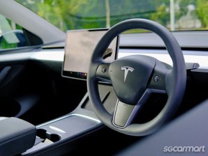 Tesla Model Y Electric Performance
