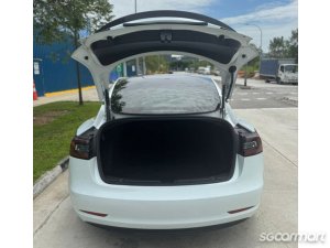 Tesla Model 3 Electric Performance
