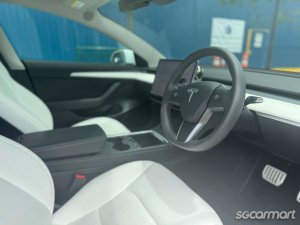 Tesla Model 3 Electric Performance