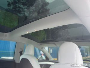 Tesla Model 3 Electric Performance