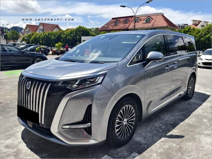 DENZA D9 Elite