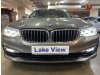 BMW 5 Series 520i Luxury