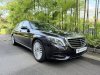 Mercedes-Benz S-Class S400L (New 10-yr COE)