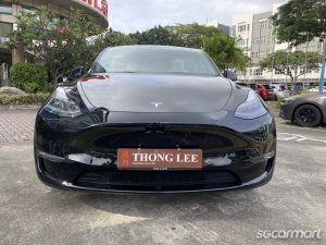 Tesla Model Y Electric Performance