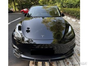 Tesla Model Y Electric Performance-thumbnail