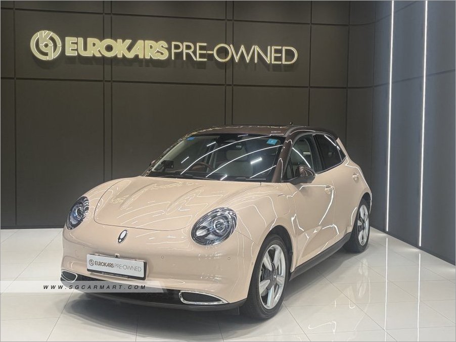 ORA Good Cat Electric Sunroof